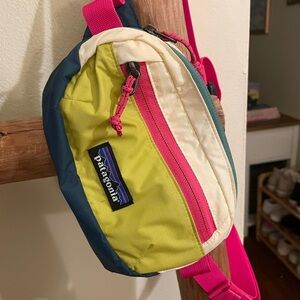 Patagonia Terravia Mini Hip Pack Fanny Pack